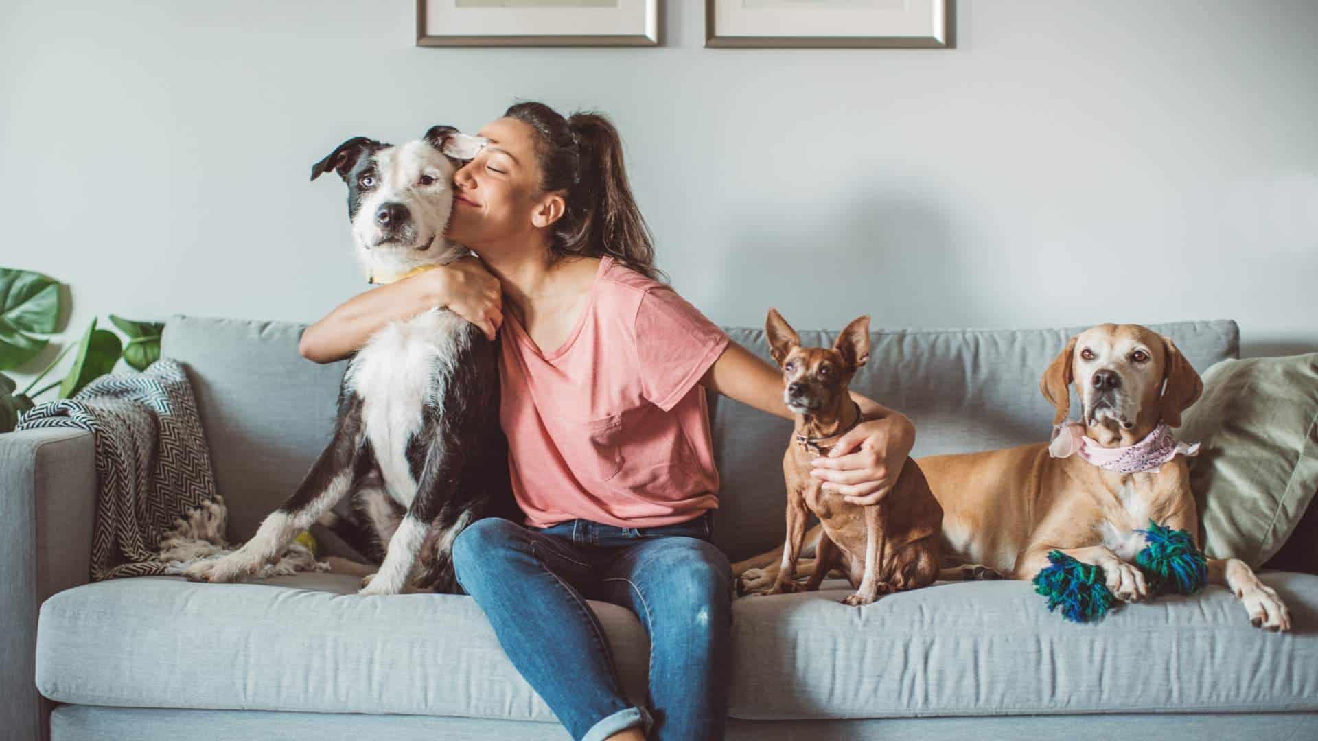 Find your next rental home